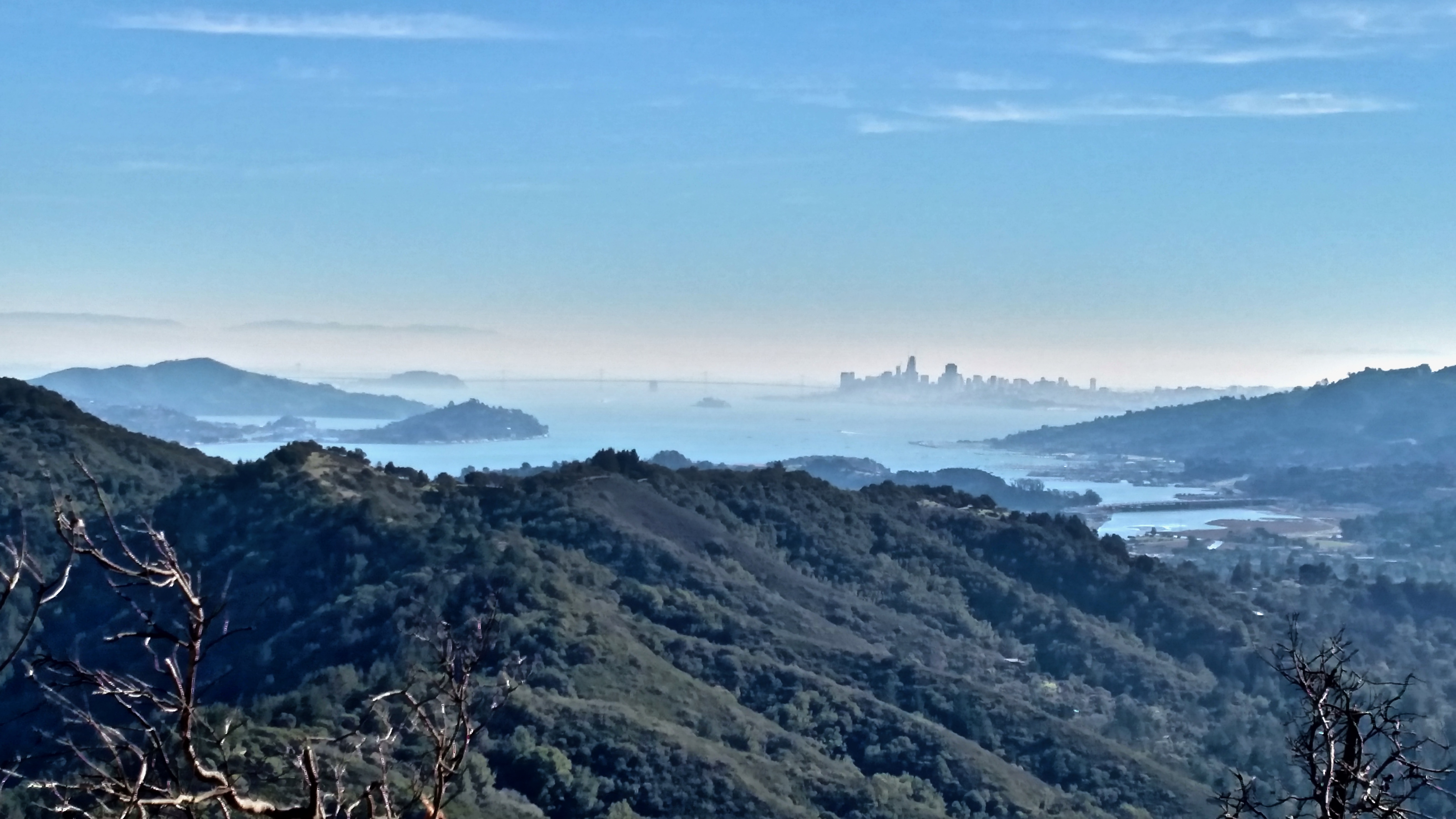 SF bay and city view